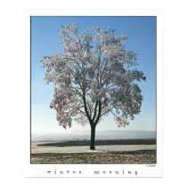 Winter Morning  posters