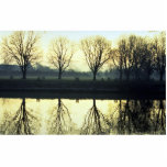 Winter morning reflection on Thames River, London, Photo Cut Outs