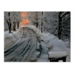 Winter Morning Sunshine Photography Postcard