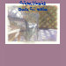 Ladies Baby Doll (Fitted)