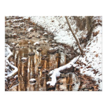 Winter - Natures Harmony Custom Invite
