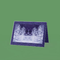 Winter Night  Holidays Card