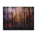 Winter Night postcards