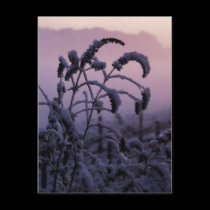 Winter, Norfolk, England - Postcard by celtxian Winter, Norfolk, England - Postcard