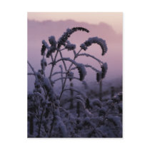 Winter, Norfolk, England - Postcard by celtxian Winter, Norfolk, England - Postcard