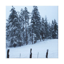 Winter on the Mountain