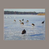 Winter on the River Havel in Berlin postcards