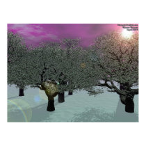 Winter Orchard posters