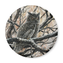 Winter Owl Refrigerator Magnets