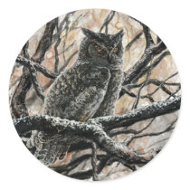 Winter Owl Stickers