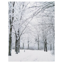 Winter park flyers
