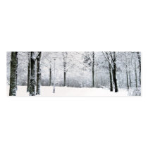 Winter park gift tag business cards