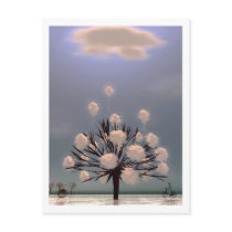WINTER PARK postcard