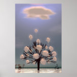 WINTER PARK POSTERS
