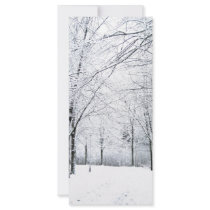 Winter park rack card template