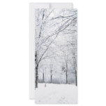 Winter park rack card template