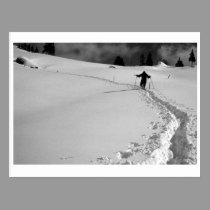 WINTER PATH postcards