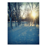 Winter Path posters