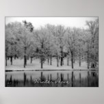 Winter Peace Print