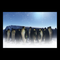 Winter Penguins Poster posters