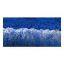 Winter photo cards