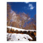 winter photo