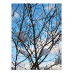 winter photographic print