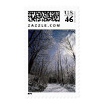 Winter Picture USPS Holiday Postage Stamps 2011