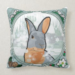 WINTER pillows