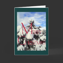 Winter Pine - Merry Christmas cards