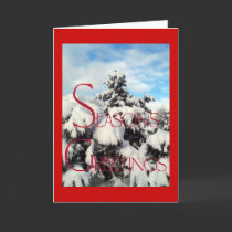 Winter Pine - Seasons Greetings cards