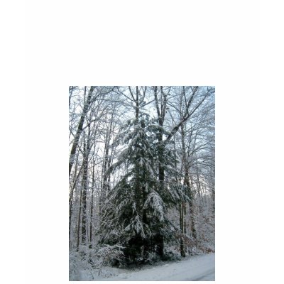 Winter Pine Tree-Long Sleeve T-Shirt by pammys