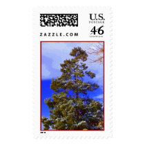 Winter Pine with Pixelated Sky postage
