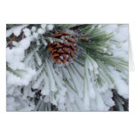 Winter Pinecone cards