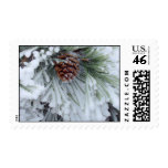 Winter Pinecone postage stamps
