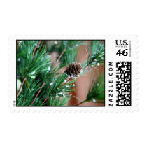 Winter Pines Postage