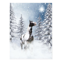 Winter pinto horse post cards