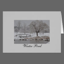 Winter Pond cards