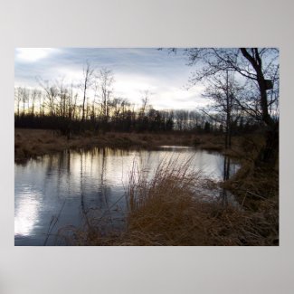 Winter Pond print