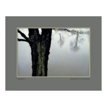 Winter Pond posters
