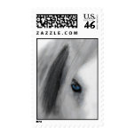 Winter Postage