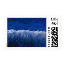 winter postage by chenjie19526 winter postage