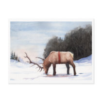 Winter postcards