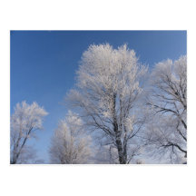 Winter Postcards