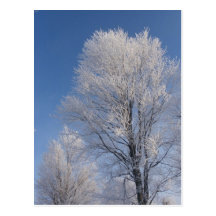 Winter Postcards