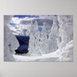 Winter Poster posters