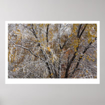 Winter Posters