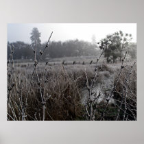 "Winter" Print posters