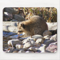 Winter Raccoon ~ mousepad