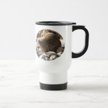 Winter Raccoon ~ mug